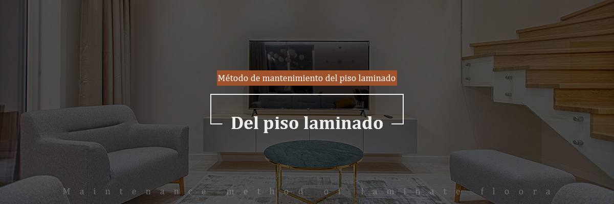 banner-S.jpg